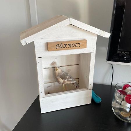 Goekboet Villa Broddetorp Bagian luar foto